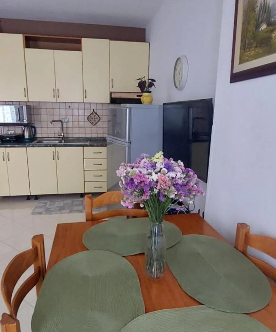 Cool Apartment Tirana